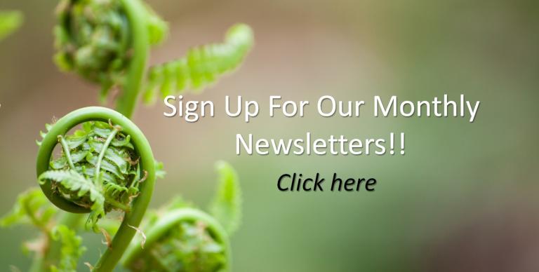 sign up to receive our newsletter